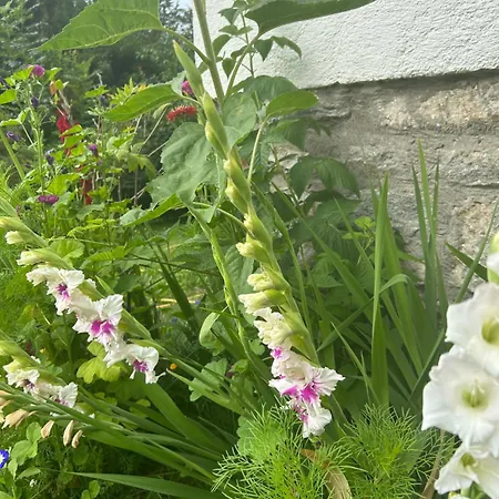 شقة Haus Am Waldrand Arriach