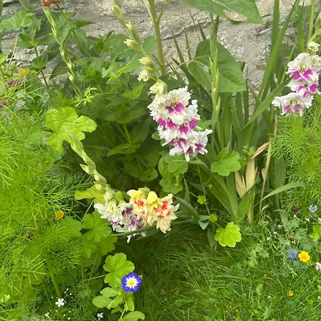 Haus Am Waldrand Arriach