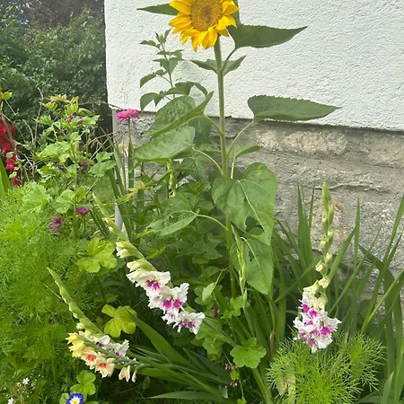 Haus Am Waldrand Arriach